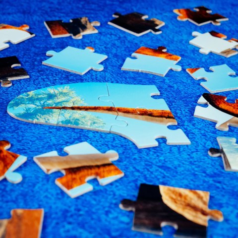 I`m a Genius Dino Stem T-REX Dinozaur 3w1 LISCIANI 92406