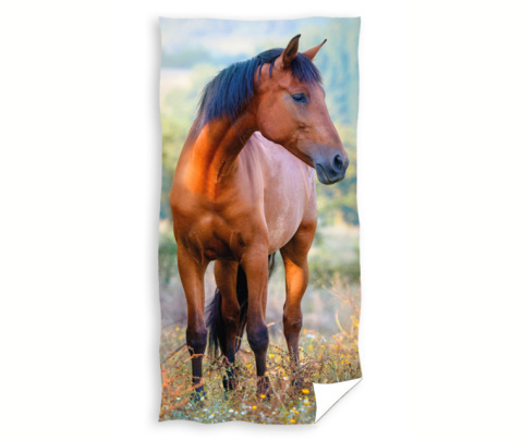 Ręcznik KOŃ 30x50 bawełna do rąk, twarzy CARBOTEX TNL204015-R