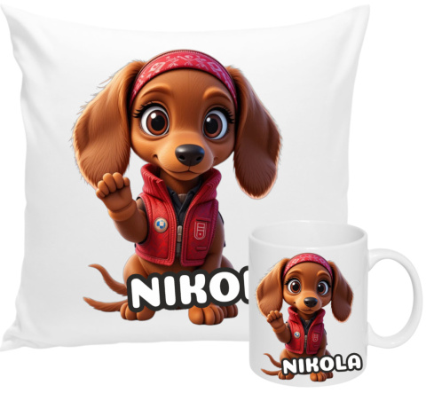 ZESTAW KUBEK I PODUSZKA PSI PATROL LIBERTY PREZENT + IMIĘ