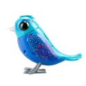 DIGIBIRDS Interaktywny ptak KOLIB Śpiewa Ćwierka 50+ melodii Niebieski seria 1