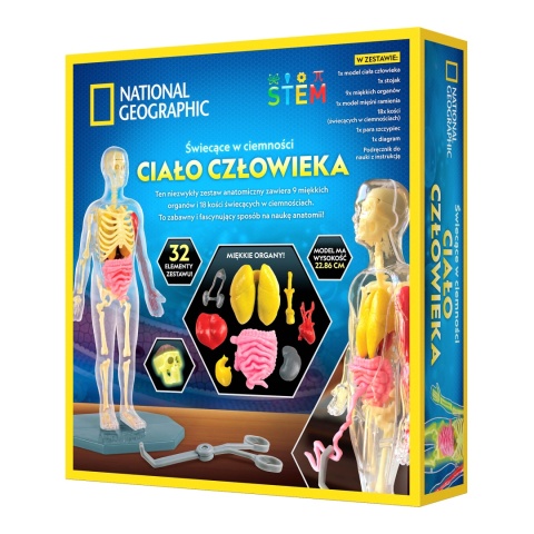 NATIONAL GEOGRAPHIC CIAŁO CZŁOWIEKA Model Anatomia Świecące kości