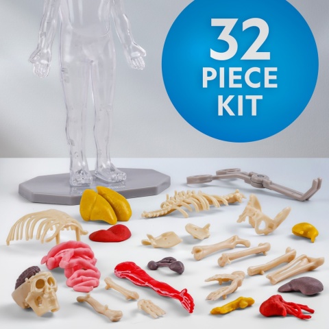 NATIONAL GEOGRAPHIC CIAŁO CZŁOWIEKA Model Anatomia Świecące kości