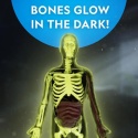 NATIONAL GEOGRAPHIC CIAŁO CZŁOWIEKA Model Anatomia Świecące kości