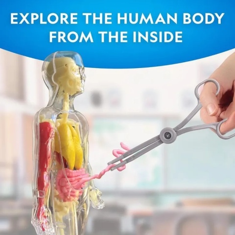 NATIONAL GEOGRAPHIC CIAŁO CZŁOWIEKA Model Anatomia Świecące kości