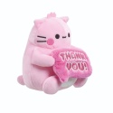 PEMBE THE PINK CAT pluszowa kotka 15 cm maskotka przytulanka THANK YOU