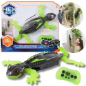 GEKON HEX BOTS Wall Crawler robot na pilota LED wspina się po ścianach